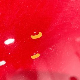 2018-2023 GMC TERRAIN FRONT PASSENGER EXTERIOR DOOR SHELL PANEL OEM RED *GPJ*