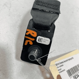 HONDA ACCORD 2018-2020 REAR LEFT SIDE & CENTER SEAT BELT SEATBELT BUCKLE OEM