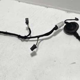 2012-2018 AUDI A6 REAR LEFT OR RIGHT SIDE DOOR WIRE WIRING HARNESS OEM