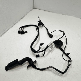 2016 - 2018 AUDI S6 A6 REAR LEFT DRIVER SIDE DOOR WIRE WIRING HARNESS OEM