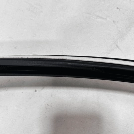 2015-2020 ACURA TLX REAR RIGHT PASENGER SIDE DOOR WINDOW GLASS RUN CHANNEL 