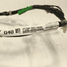 19-21 HONDA PILOT TAILGATE LIFTGATE RIGHT PASSENGER SIDE WIRE WIRING HARNESS OEM