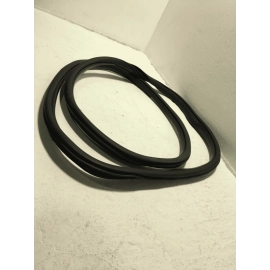 2015-25 FORD F-150 FRONT RIGHT PASSENGER SIDE DOOR BODY WEATHERSTRIP SEAL OEM