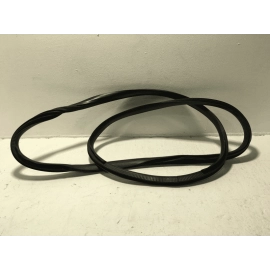 2015-25 FORD F-150 FRONT RIGHT PASSENGER SIDE DOOR BODY WEATHERSTRIP SEAL OEM