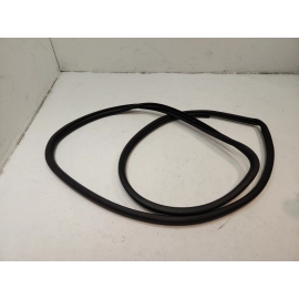 2018-2024 Toyota Camry Front Right Passenger Door Body Wheatherstrip Seal OEM