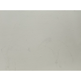 2014-2016 Mercedes W212 E350 Front Driver Side Sun Visor Extension OEM Beige