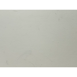 2010- 2016 Mercedes E350 Front Left Hood Shock Strut Lift Support OEM