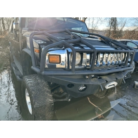 2003-2009 HUMMER H2 FRONT OR REAR INTERIOR DOOR PANEL LIGHT LAMP GLASS OEM