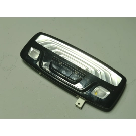 2018-2023 BMW 530E REAR ROOF OVERHEAD READING DOME LIGHT LAMP OEM