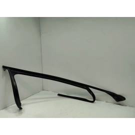 2016-2018 Audi S6 A6 Front Right Passenger Door Window Run Channel OEM