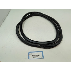 Rear Right  Side Door Body Seal