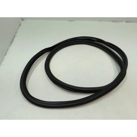Rear Right  Side Door Body Seal
