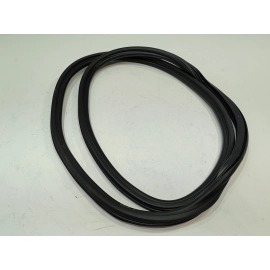 Rear Right  Side Door Body Seal