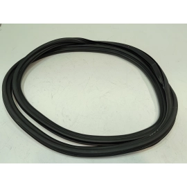 Rear Right  Side Door Body Seal