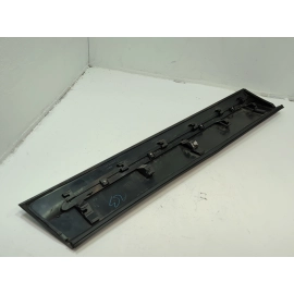 2020-2022 HONDA PILOT FRONT RIGHT PASSENGER SIDE DOOR LOWER MOLDING GARNISH OEM