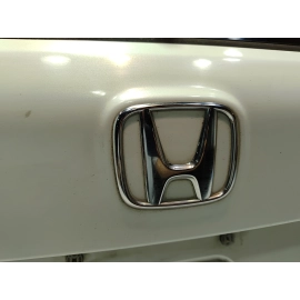 2019-2022 HONDA PILOT TAILGATE LIFTGATE BACK DOOR SHELL W/ GLASS OEM