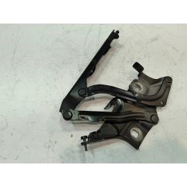 2018-2024 Audi Audi S5 Sportback Front Right Passenger Side Hinge OEM