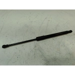 2018-2024 Audi S5 Front Hood Strut Lift Cylinder Support OEM