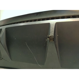 2018 2019 Audi S5 Sportback Rear Bumper Cover w/Parking Sensors *LZS* OEM