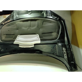 2018-2024 Audi S5 Sportback Front Hood Bonnet Panel OEM