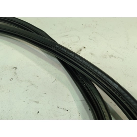 2018 - 2024 AUDI S5 SPORTBACK REAR LIFTGATE TRUNK RUBBER WEATHERSTRIP SEAL OEM