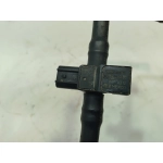 2018-2025 Ford F-150 Evaporative Emissions System Lines w/Pressure Sensor OEM