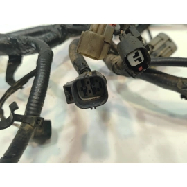 2018 Ford F-150 Rear Lamps Wiring Harness Assembly OEM