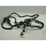 2018 Ford F-150 Rear Lamps Wiring Harness Assembly OEM