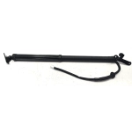 2019-24 Toyota RAV4 Rear Left Driver Side Liftgate Shock Strut Lift Support OEM