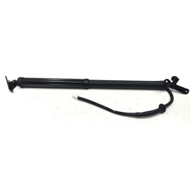 2019-24 Toyota RAV4 Rear Left Driver Side Liftgate Shock Strut Lift Support OEM