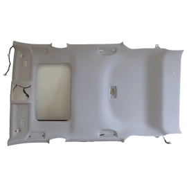 2019-2022 Toyota RAV4 Interior Roof Headliner OEM