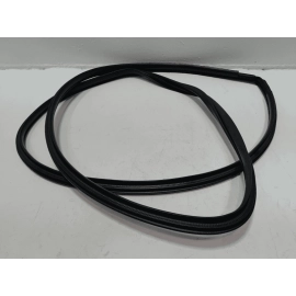 2019-2024 TOYOTA RAV4 REAR LEFT DRIVER SIDE DOOR BODY WEATHERSTRIP SEAL OEM