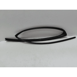 2019-2024 TOYOTA RAV4 REAR PASSENGER SIDE DOOR WINDOW GLASS RUN CHANNEL SEAL OEM