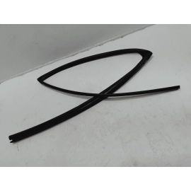 2019-2024 TOYOTA RAV4 REAR PASSENGER SIDE DOOR WINDOW GLASS RUN CHANNEL SEAL OEM