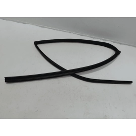 2019-2024 TOYOTA RAV4 REAR DRIVER SIDE DOOR WINDOW GLASS RUN CHANNEL SEAL OEM