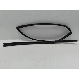 2019-2024 TOYOTA RAV4 REAR DRIVER SIDE DOOR WINDOW GLASS RUN CHANNEL SEAL OEM