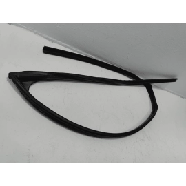 2019-2024 TOYOTA RAV4 FRONT DRIVER SIDE DOOR WINDOW GLASS RUN CHANNEL SEAL OEM