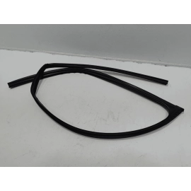 2019-2024 TOYOTA RAV4 FRONT DRIVER SIDE DOOR WINDOW GLASS RUN CHANNEL SEAL OEM