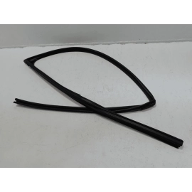 2019-2024 TOYOTA RAV4 FRONT RIGHT SIDE DOOR WINDOW GLASS RUN CHANNEL SEAL OEM