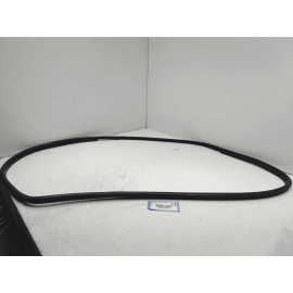 2018-2025 Toyota Camry Front Left Driver Door Body Weatherstrip Seal OEM