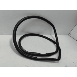 TOYOTA CAMRY 2018-2024 REAR LEFT DRIVER SIDE DOOR BODY WEATHERSTRIP SEAL OEM