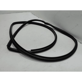 2018-2025 TOYOTA CAMRY FRONT PASSENGER SIDE DOOR BODY WEATHERSTRIP SEAL OEM
