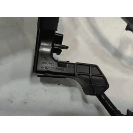 2018-2019 TOYOTA CAMRY TRUNK LUGGAGE ROOM WIRING HARNESS WIRE OEM