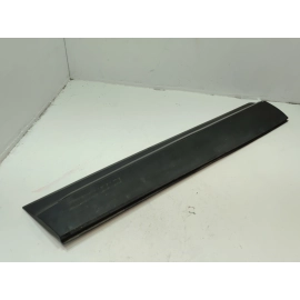 2020-2022 HONDA PILOT FRONT LEFT DRIVER SIDE DOOR LOWER MOLDING GARNISH OEM