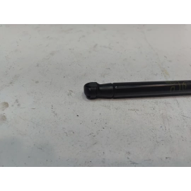 2018-2025 TOYOTA CAMRY TRUNK LID PASSENGER SIDE LIFT SUPPORT CYLINDER STRUT OEM