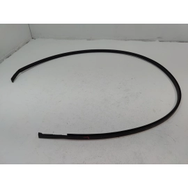 2018-2025 TOYOTA CAMRY ROOF LEFT DRIVER SIDE DRIP MOLDING TRIM OEM