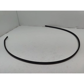 2018-2025 TOYOTA CAMRY ROOF LEFT DRIVER SIDE DRIP MOLDING TRIM OEM