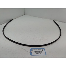 2018-2025 TOYOTA CAMRY ROOF RIGHT PASSENGER SIDE DRIP MOLDING TRIM OEM