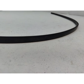 2018-2025 TOYOTA CAMRY ROOF RIGHT PASSENGER SIDE DRIP MOLDING TRIM OEM