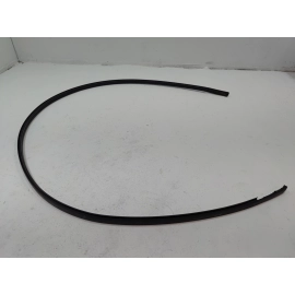 2018-2025 TOYOTA CAMRY ROOF RIGHT PASSENGER SIDE DRIP MOLDING TRIM OEM